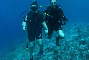 テネリフェ島：1日でダイビングライセンス