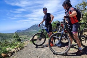 Tenerife: premium e-bike ride at Chineyro volcanic area