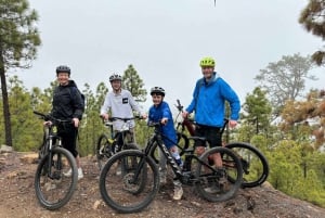 Tenerife: premium e-bike ride at Chineyro volcanic area