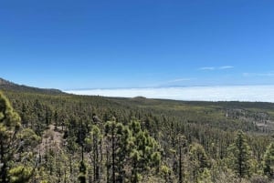 Tenerife: premium e-bike ride at Chineyro volcanic area