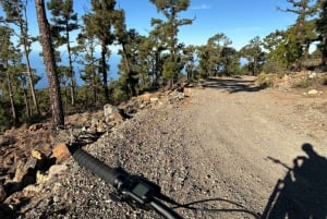 Tenerife: premium e-bike ride at Chineyro volcanic area