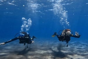 Tenerife, El Médano: Diving baptism