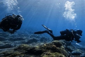 Tenerife, El Médano: Diving baptism