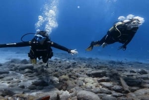 Tenerife, El Médano: Diving baptism