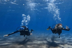 テネリフェ島 エル・メダーノ：ダイビング洗礼式