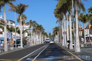 Tenerife: El Medano Self-Drive Slingshot Tour