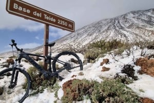 Tenerife: Electric Mountain Bike Rental with Hotel Delivery