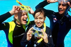 Viagem exclusiva de snorkeling em Tenerife com biólogo marinho