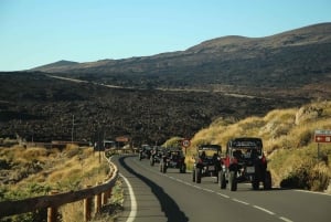 Tenerife: Morning or Sunset Tour in a 4-Seater Buggy