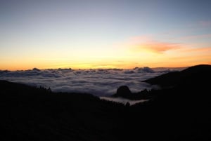 Tenerife: Morning or Sunset Tour in a 4-Seater Buggy