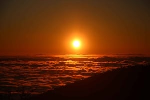 Tenerife: Morning or Sunset Tour in a 4-Seater Buggy