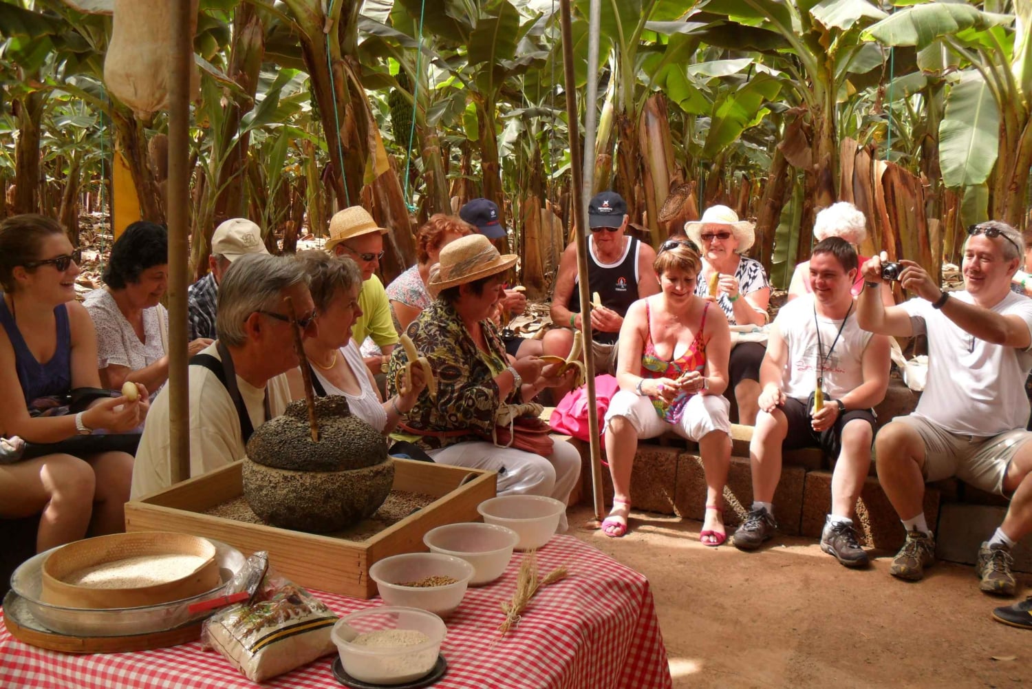 Tenerife: Ervaring met bananenplantage Finca Las Margaritas