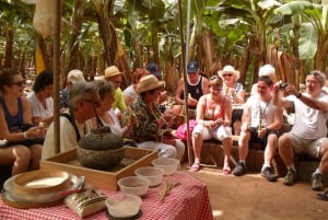 Tenerife: Ervaring met bananenplantage Finca Las Margaritas