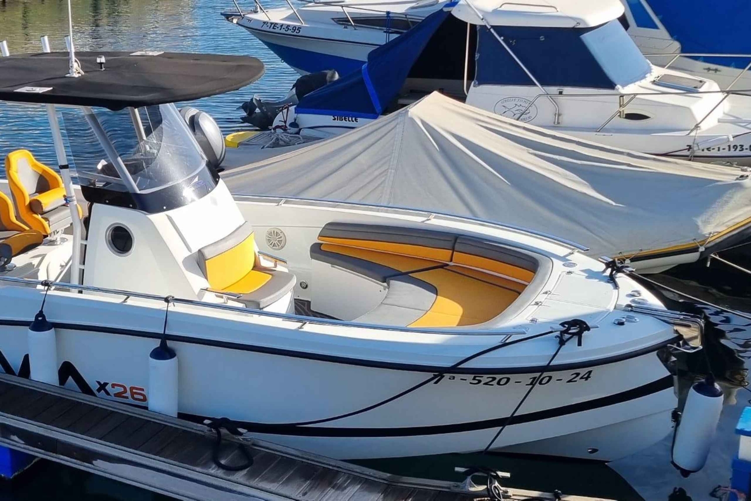 Tenerife : Fishing trip with private boat