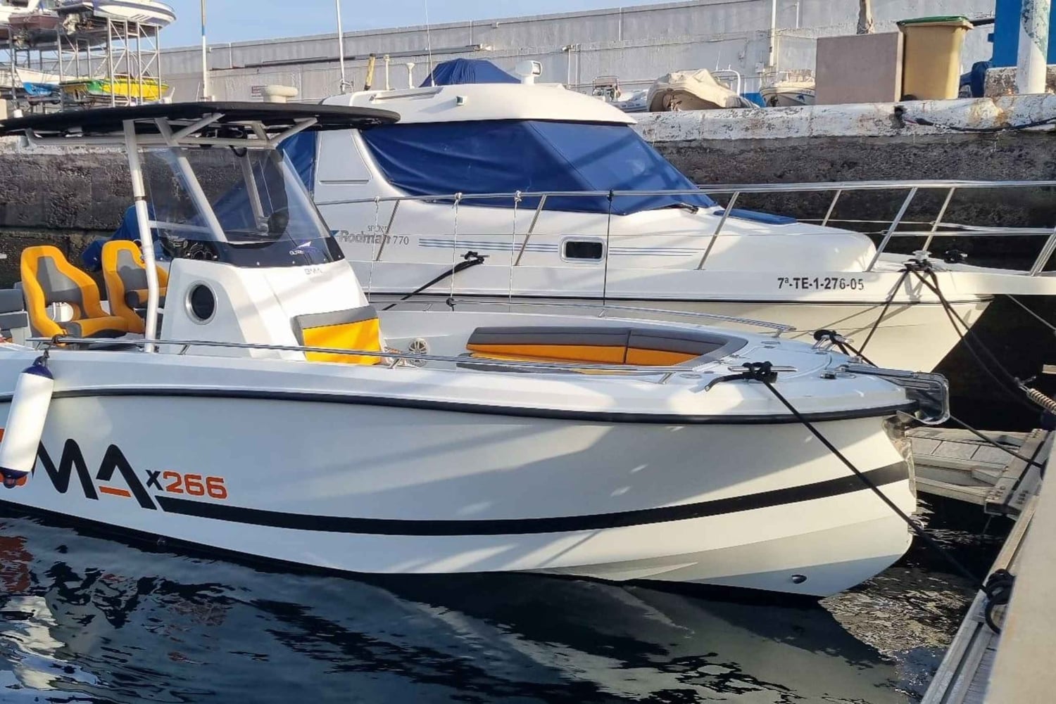 Tenerife : Fishing trip with private boat