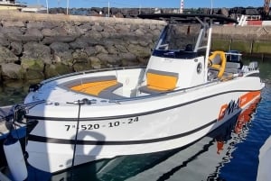 Tenerife : Fishing trip with private boat