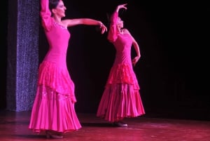 Tenerife: Flamenco Performance at Teatro Coliseo