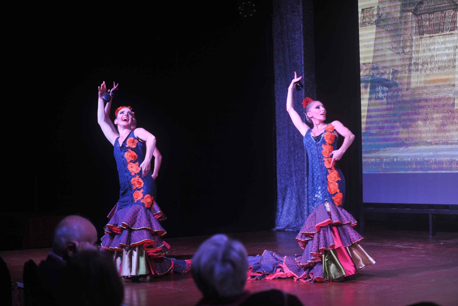 Tenerife : Spectacle de flamenco au Teatro Coliseo