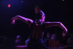 Tenerife : Spectacle de flamenco au Teatro Coliseo