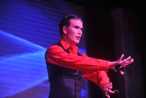 Tenerife : Spectacle de flamenco au Teatro Coliseo