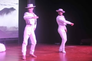 Tenerife : Spectacle de flamenco au Teatro Coliseo