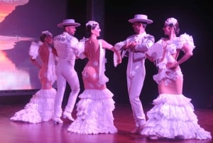 Tenerife : Spectacle de flamenco au Teatro Coliseo