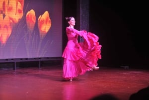 Tenerife : Spectacle de flamenco au Teatro Coliseo