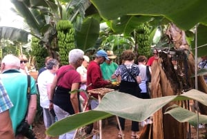 Tenerife : Circuit gastronomique des saveurs et des vins de Ténérife