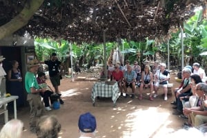 Tenerife : Circuit gastronomique des saveurs et des vins de Ténérife