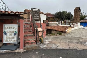 Tenerife : Circuit gastronomique des saveurs et des vins de Ténérife