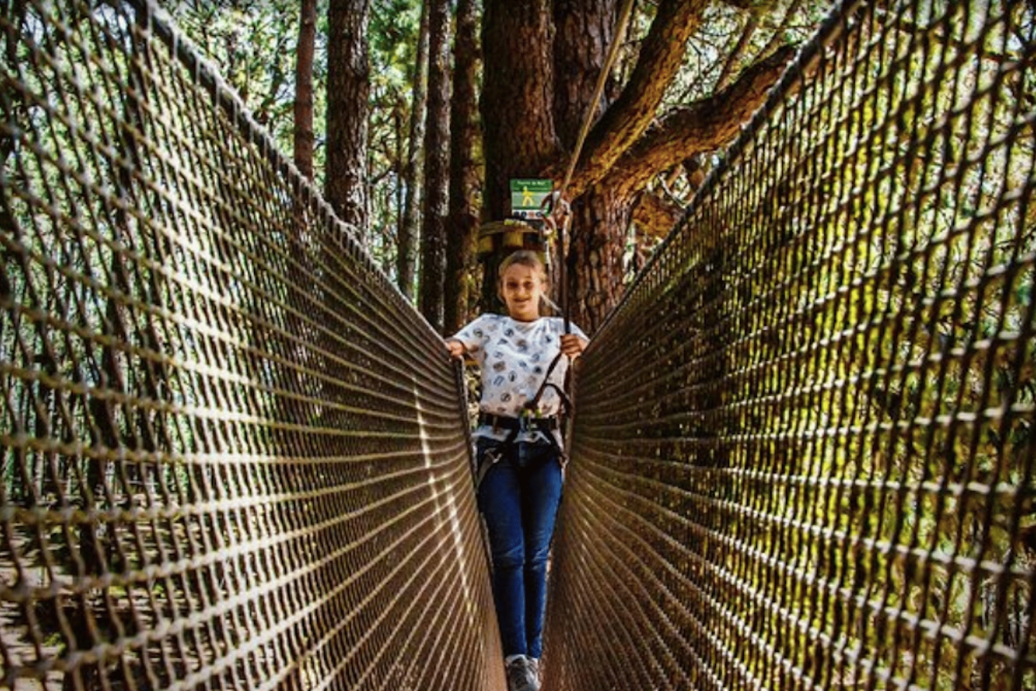 Tenerife: Forestal Park Tenerife inngangsbillett