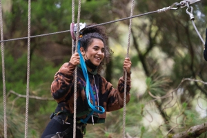 Tenerife: Forestal Park Tenerife inngangsbillett