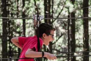 Tenerife: Forestal Park Tenerife inngangsbillett