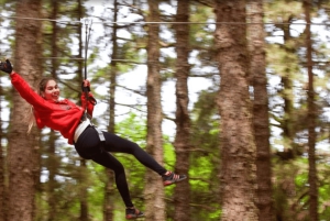 Tenerife: Forestal Park Tenerife inngangsbillett