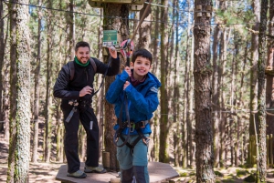 Tenerife: Forestal Park Tenerife inngangsbillett