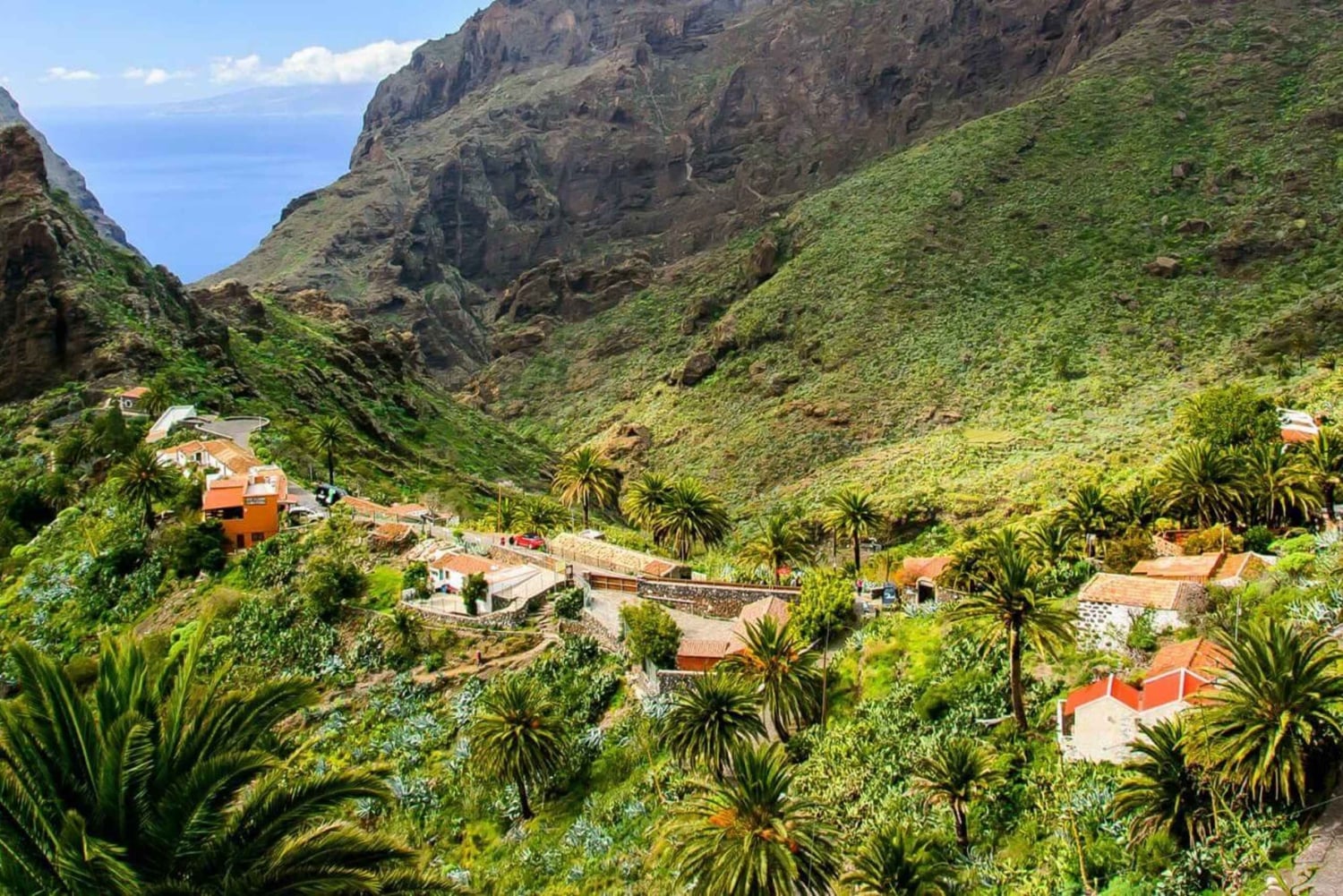 Tenerife: Excursão de dia inteiro a Masca e Teno
