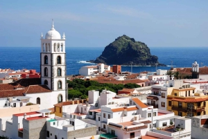 Tenerife: Excursão de dia inteiro a Masca e Teno