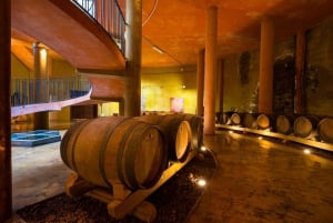 Full-Day Gastronomy and Wine Tour
