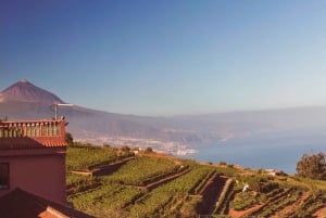 Full-Day Gastronomy and Wine Tour