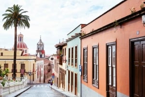 Tenerife: Full-Day Guided Island Tour