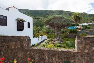 Tenerife : Visite d'une jounée guidée de l'île