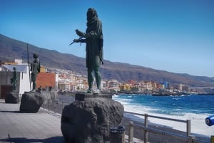 Tenerife : Visite d'une jounée guidée de l'île