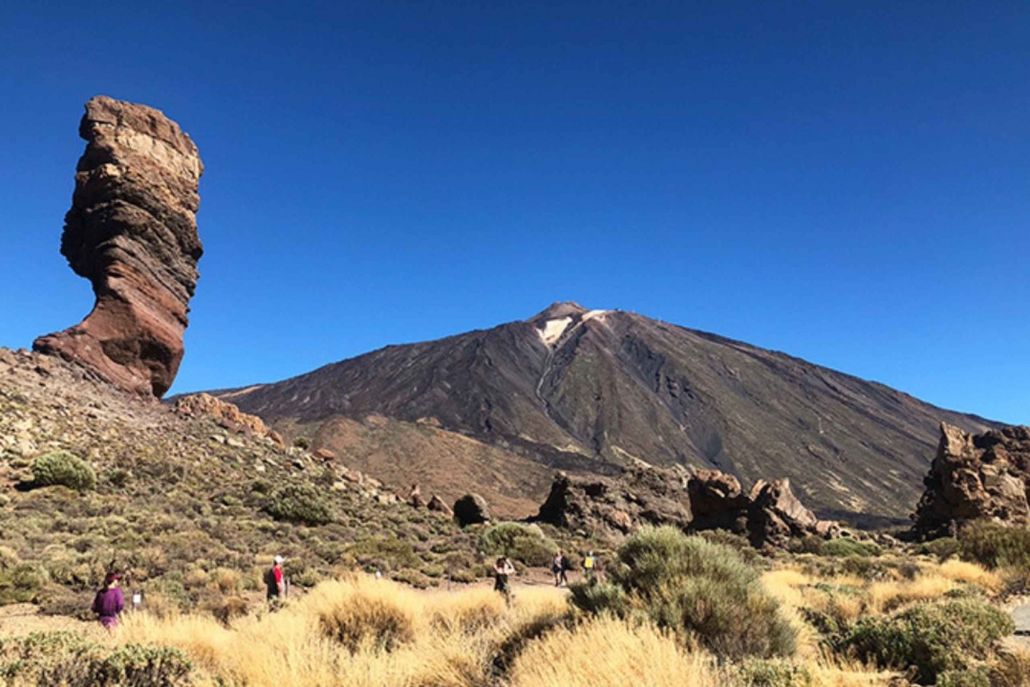 Tenerife: Full-day guided tour around Teide National Park