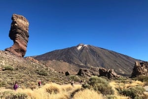 Tenerife: Teide National Park Guided Full-Day Trip by Bus