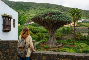 Tenerife: tour de un día en minivan por pueblos y paisajes
