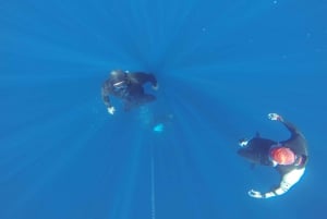 Teneryfa: cały dzień odkrywania freedivingu