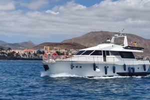 テネリフェ島：水上アクティビティとおもちゃで楽しいヨット旅行