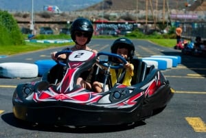 Tenerife: Go Karting Adventure