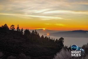 Tenerife: Gourmet Sunset Dinner and Stargazing Experience