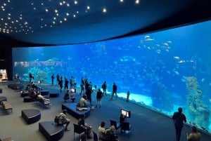 Tenerife: Gran Canaria Hele dag rondleiding met Aquarium
